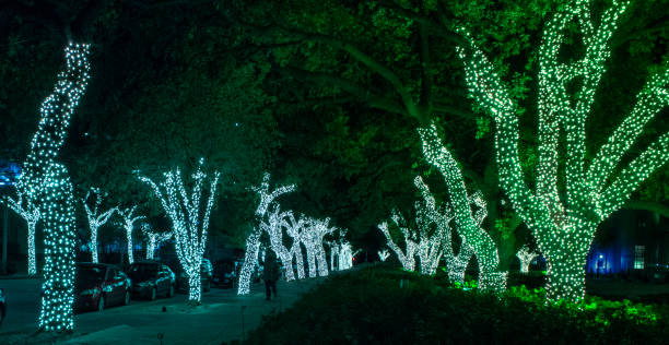 istock Green vs. Blue Christmas Lights 941184260