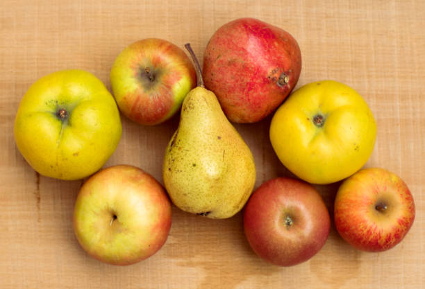 istock Raw fresh organic fruits 941192500