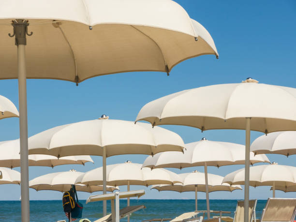 istock Beach umbrellas, gazebos and sun beds at Italian sandy beaches. Adriatic coast. Emilia Romagna region 941229246