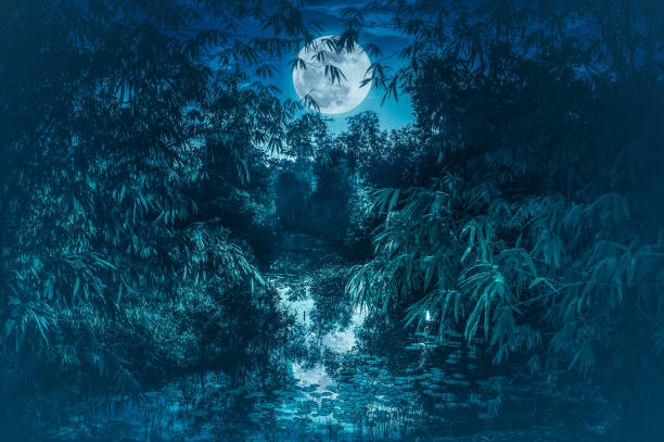 istock Tranquil river with full moon and bamboo trees. Serenity nature background. 941229590