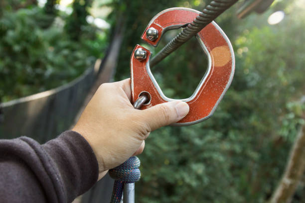 istock Hand holding zipline equipment on the walking tree, adventure 941230050