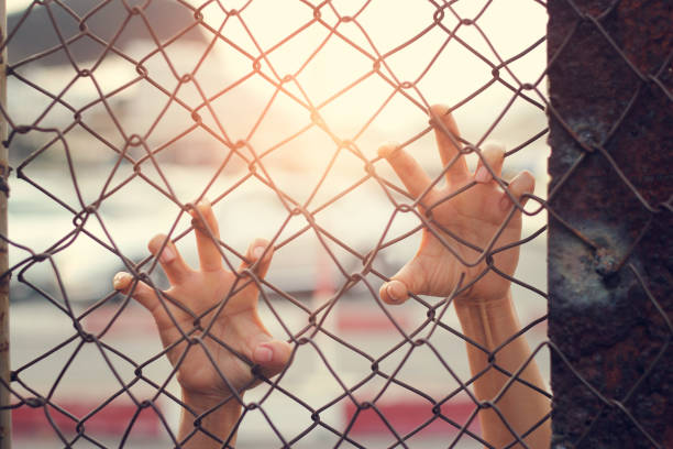 istock Hands of a woman escape on mesh cage. 941232626