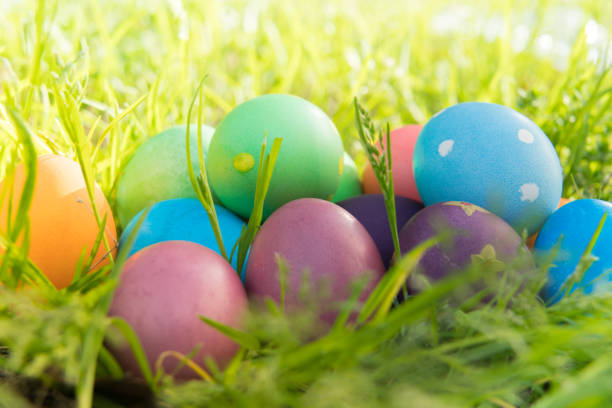 istock Easter egg ! happy colorful Easter sunday hunt holiday decorations Easter concept backgrounds with copy space 941232802