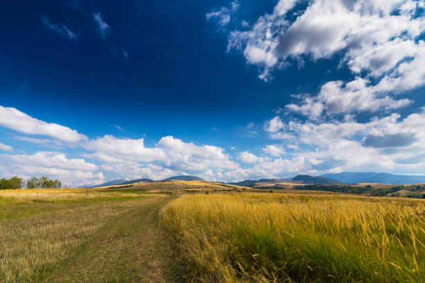 istock Beautiful rural countryside in Europe 941233074