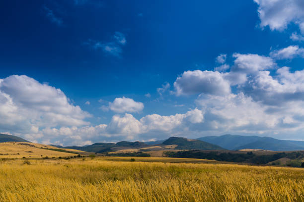 istock Beautiful rural countryside in Europe 941233196