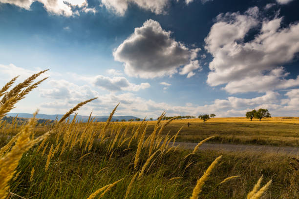 istock Beautiful rural countryside in Europe 941233198