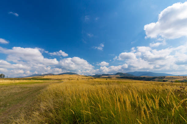istock Beautiful rural countryside in Europe 941233206