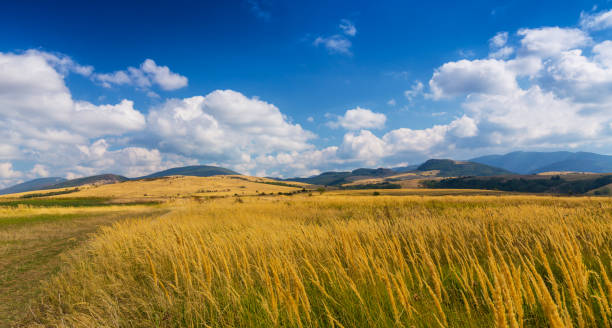 istock Beautiful rural countryside in Europe 941233224