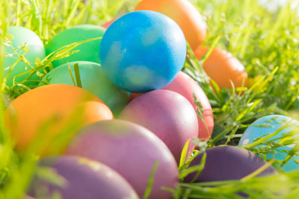 istock Easter egg ! happy colorful Easter sunday hunt holiday decorations Easter concept backgrounds with copy space 941233434