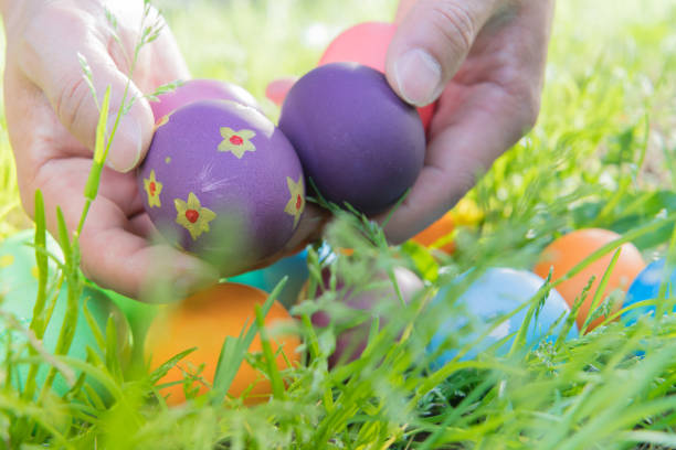 Easter egg ! happy colorful Easter sunday hunt holiday decorations Easter concept backgrounds with copy space