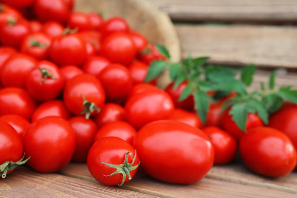 istock Fresh tomato crop in a wooden bowl 941241506