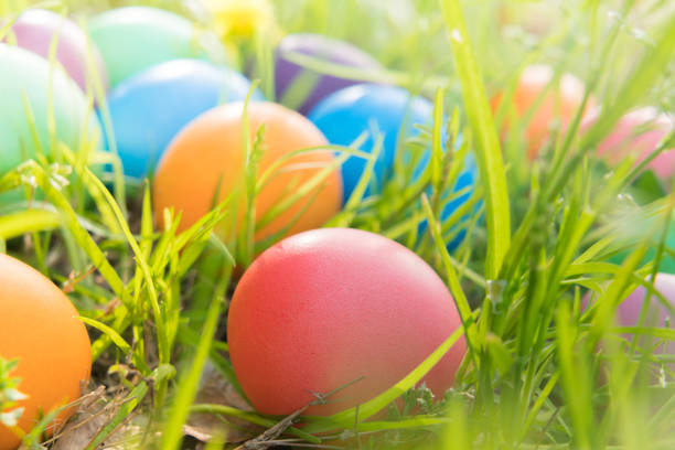 istock Easter egg ! happy colorful Easter sunday hunt holiday decorations Easter concept backgrounds with copy space 941241998