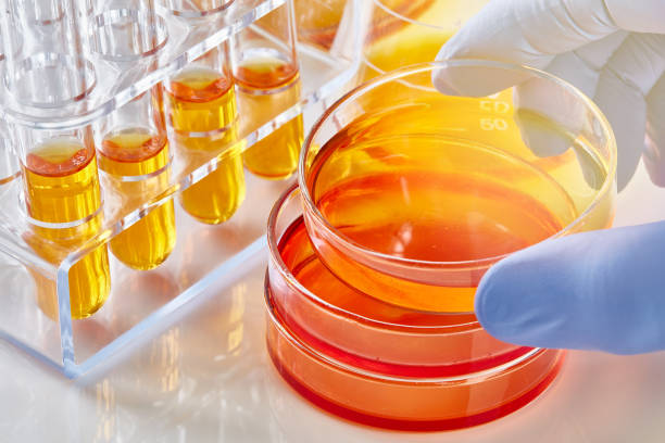 petri dish and beaker in studio with hand