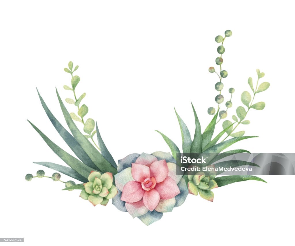 Guirlande de vecteur aquarelle de cactées et plantes grasses isolés sur fond blanc. - clipart vectoriel de Aquarelle libre de droits