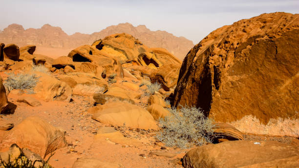 istock colors of Jordan 941249776