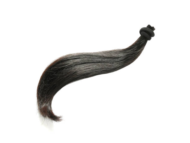 A Strand Of Natural Black Hair Stock Photo - Download Image Now - Hair,  Ponytail, Cutting - iStock