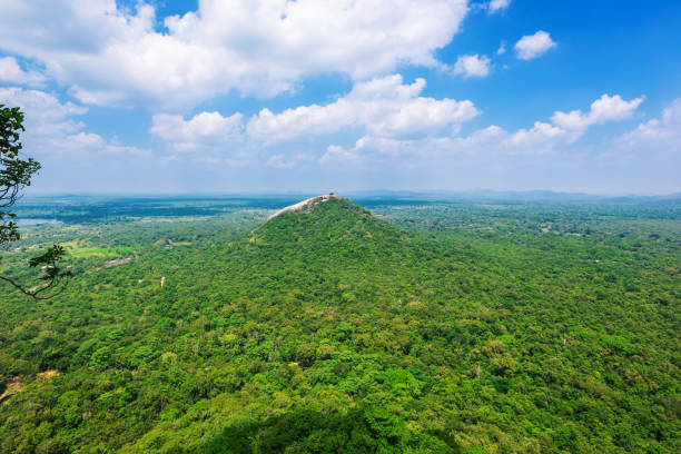 istock Beautiful view from Sigiriya 941251300