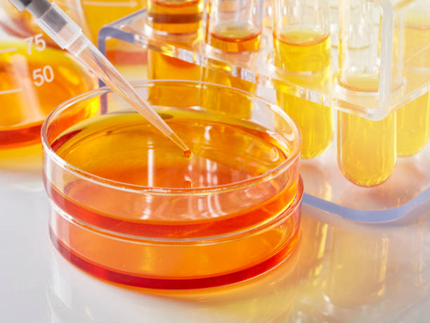 istock Pipette, petri dish and beaker 941251430