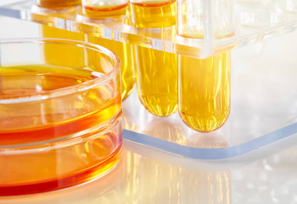 istock petri dish, test tubes and beaker with hand 941251442