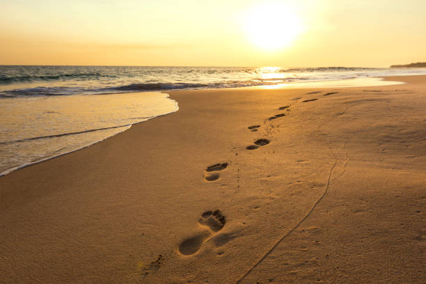 istock Landscape of sunset on the beach 941251556