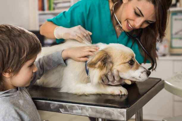 istock Small boy caring for his dog while having a medical exam at veterinarian's office. 941258078