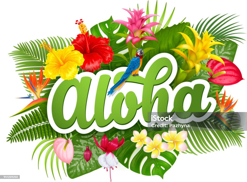 aloha-hawaii-lettering-and-tropical-plants-stock-illustration