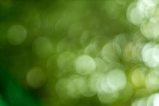 istock Abstract blur with bokhe of light through the green trees 941263280