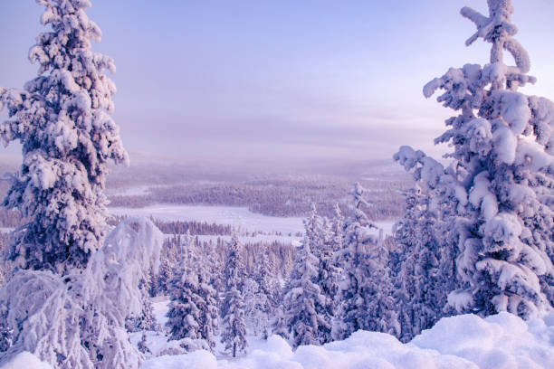 istock Winter landscape in Lapland 941264006