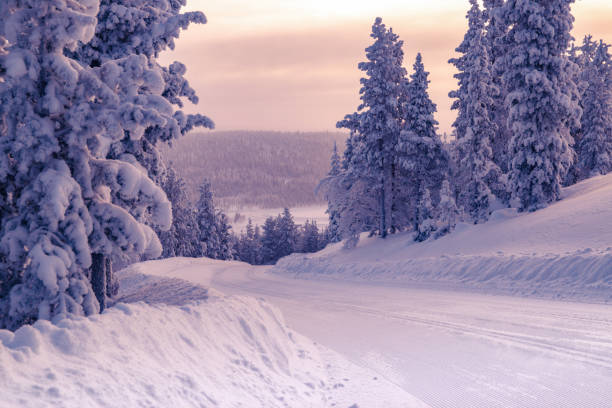 istock Winter landscape in Lapland 941264022