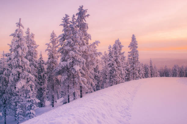 istock Winter landscape in Lapland 941264066