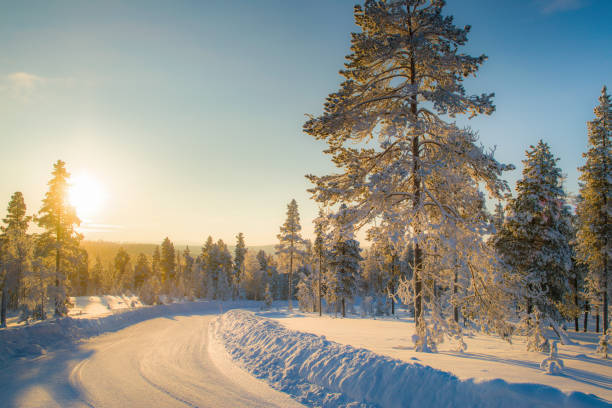 istock Winter landscape in Lapland 941264252