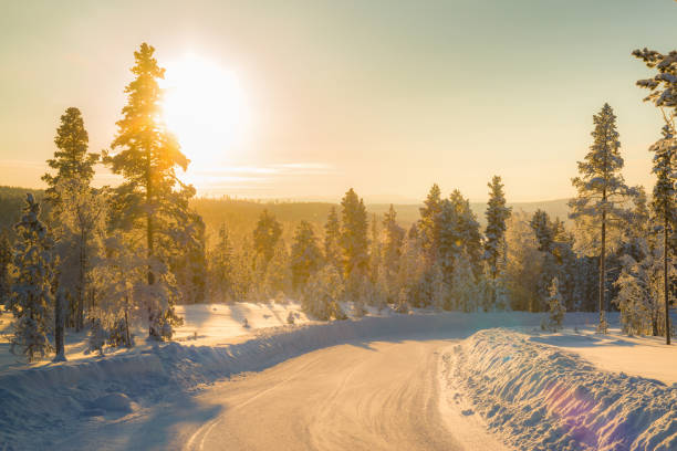 istock Winter landscape in Lapland 941264268
