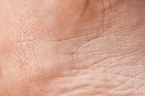 istock macro shot of human skin 941265242