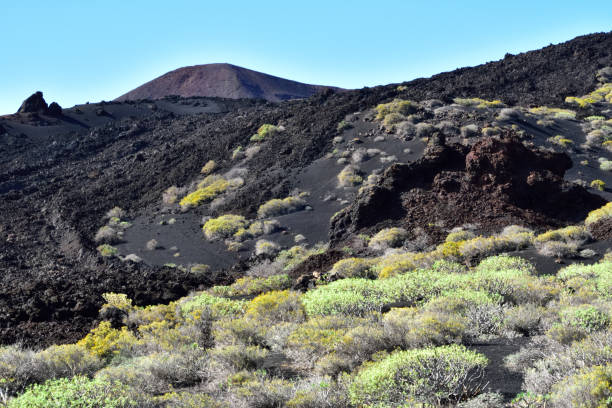 istock Volcano San Antonio, La Palma, Canary Islands 941271384