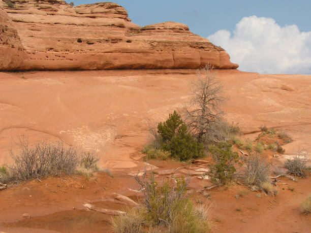 istock Landscape Delicate Arch-Arches National Park 941275852