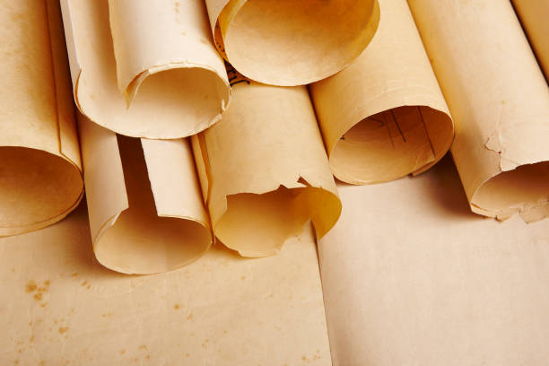istock Old aged blank rolled parchments. Antique documents. Vintage manuscripts 941276614