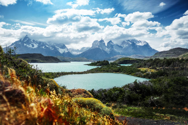 istock Torres del Paine National Park 941277024