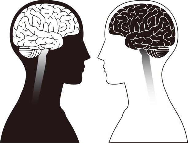 stockillustraties, clipart, cartoons en iconen met afbeelding van hersenen - bovenlichaam