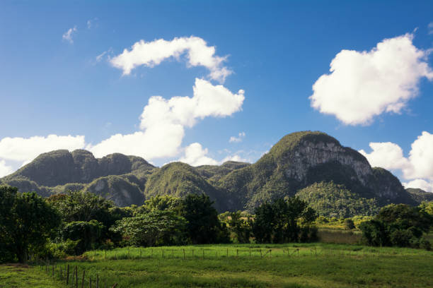 istock Panorama of the Vinales Valley with the Mogotes 941281022