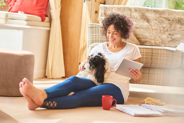 istock shopping for pet insurance 941281942