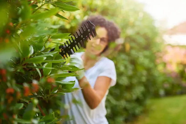 a young woman trims the bushes in the garden
