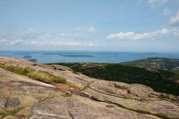 Bar harbor rock and trees ocean view