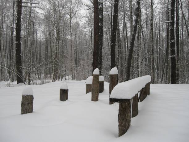 istock Lone Bench in the Winter Forest 941298206