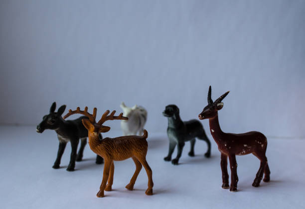 istock children's toy wild animals on white background 941303630