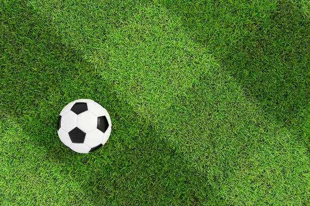 足球場和球頂部視圖背景-格子紋理 - 世界冠軍 個照片及圖片檔