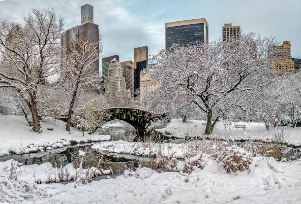 istock Gapstow bridge Central Park, New York City 941307664