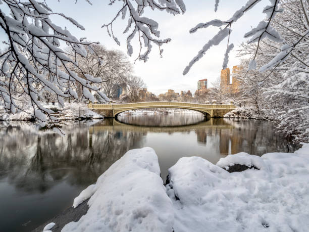 istock Central Park, New York City 941309812