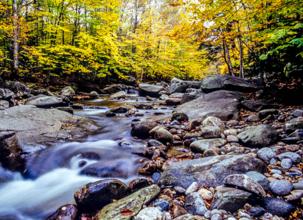 istock Swift river in Autumn White Mountains, New Hampshire 941309834