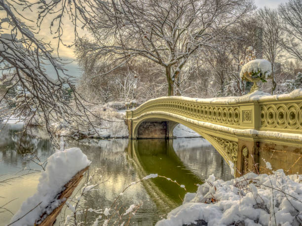 istock Central Park, New York City 941310070