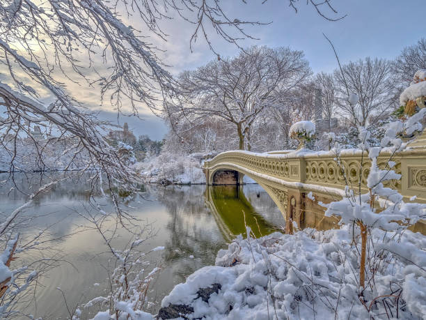 istock Central Park, New York City 941310144